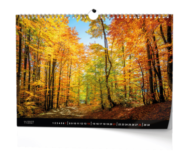 Nástěnný kalendář - Les