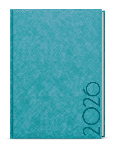 Denní diář - David - Tora - A5 - tyrkys