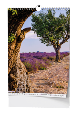 Nástěnný kalendář - Provence - A3                    