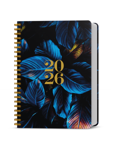 Denní diář - David - Twin - Modré listy