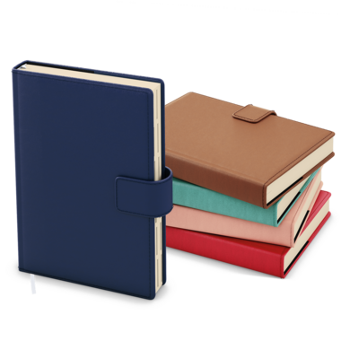 Denní diář - Ctirad s výsekem - Elite - A5 - hnědá